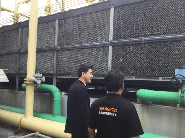 กล้วยน้ำไท_18