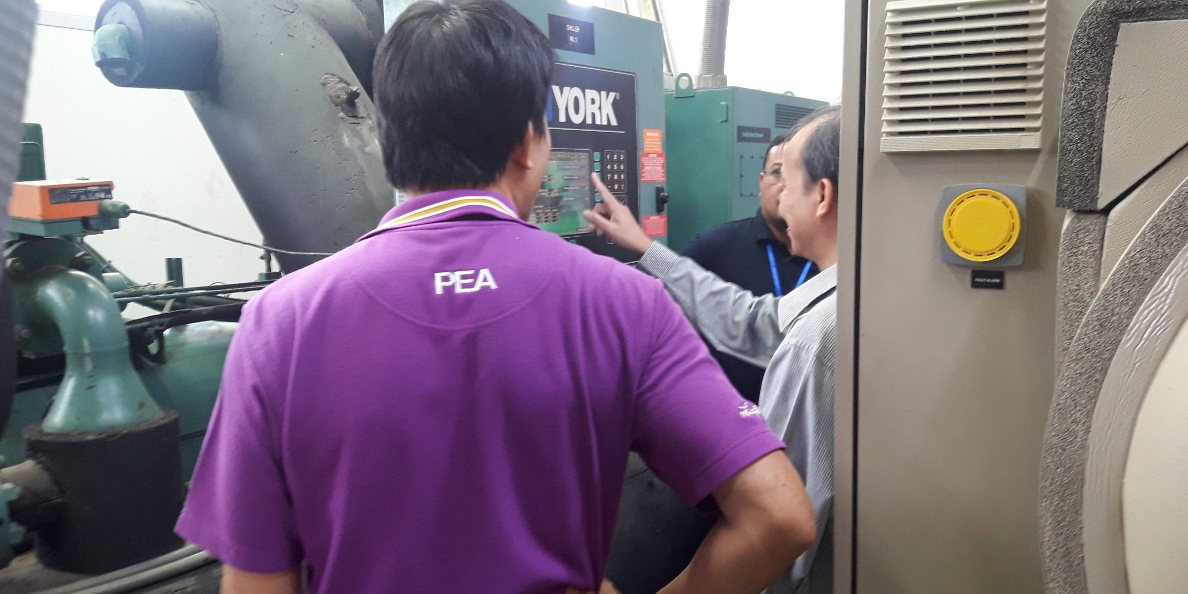 PEA สนญ.-04-61