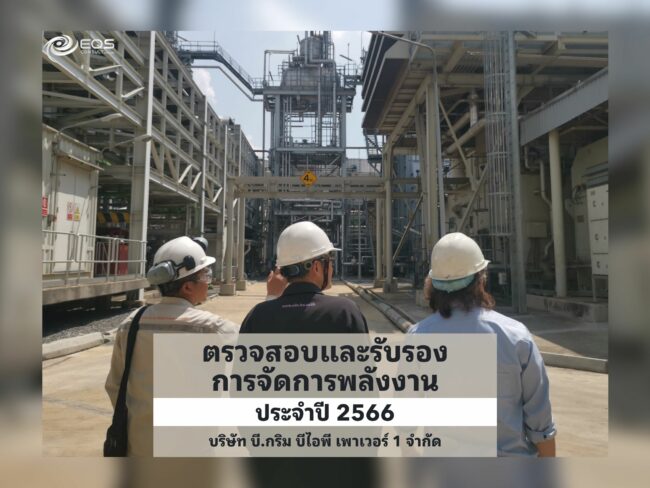 EQS-EnMS-Audit-B.GRIMM BIP POWER