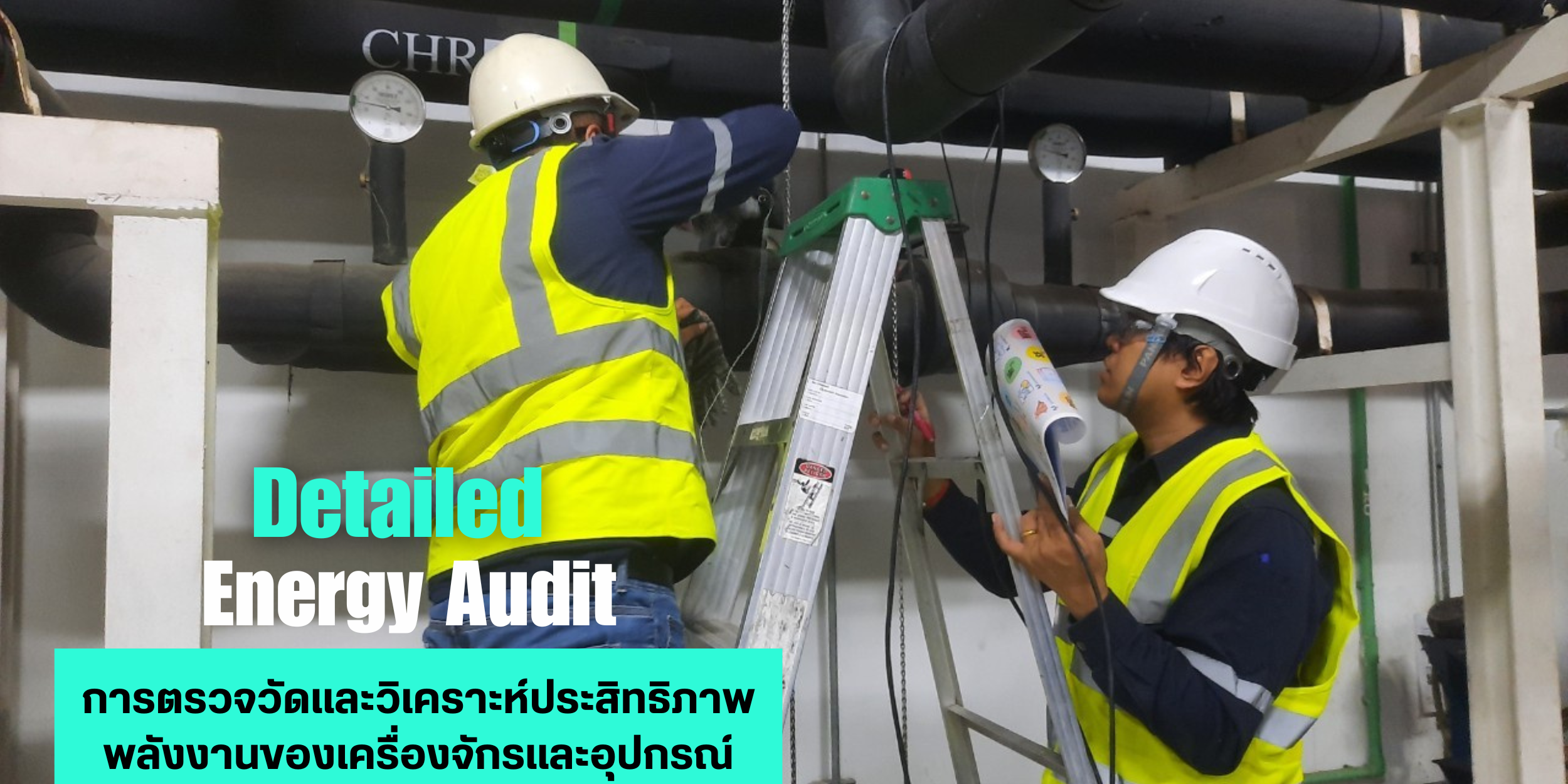 EQS-AUDIT-BORGWARNER